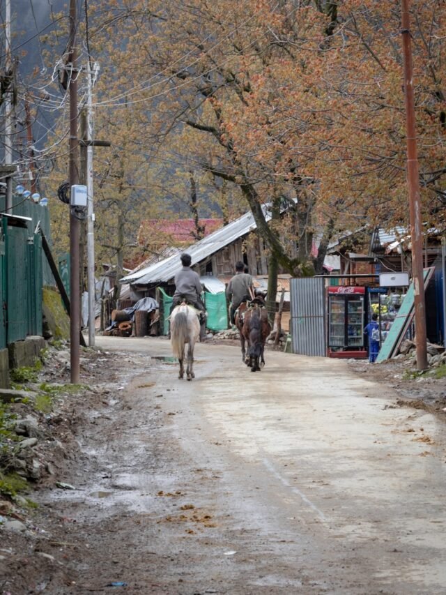 Is Kashmir Safe for Travel in 2025?