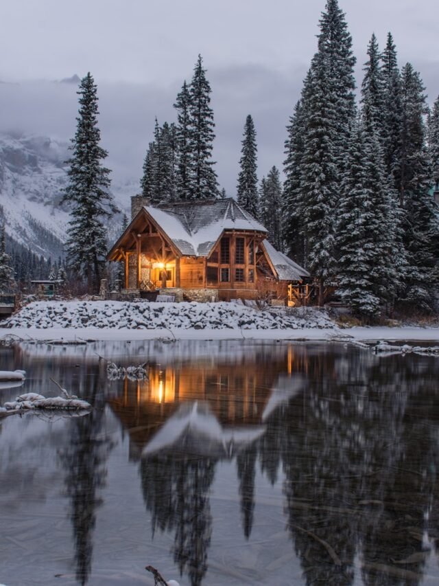 fresh Snowfall in kashmir