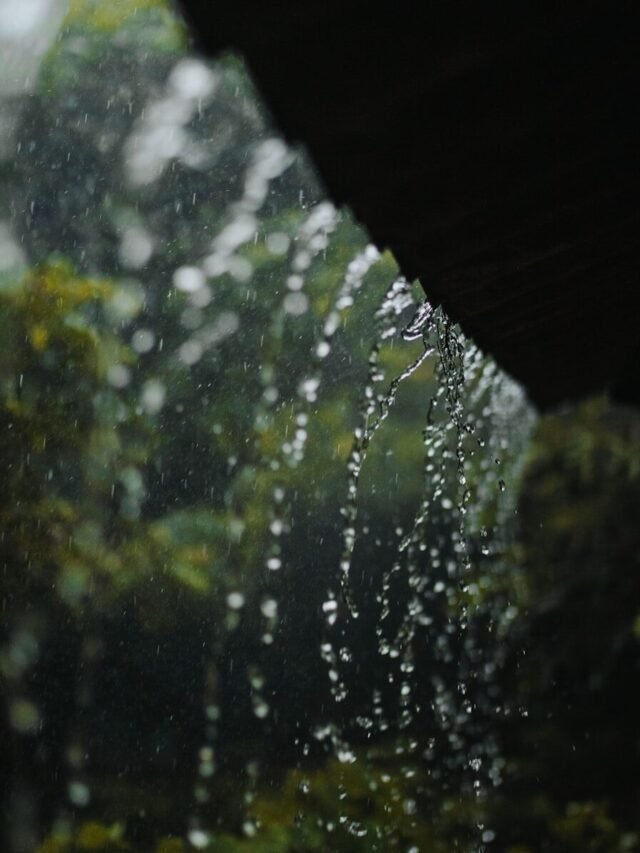 a close-up of a water splash